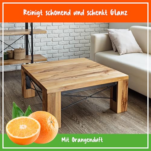 POLIBOY Möbel Intensiv Reiniger - 3
